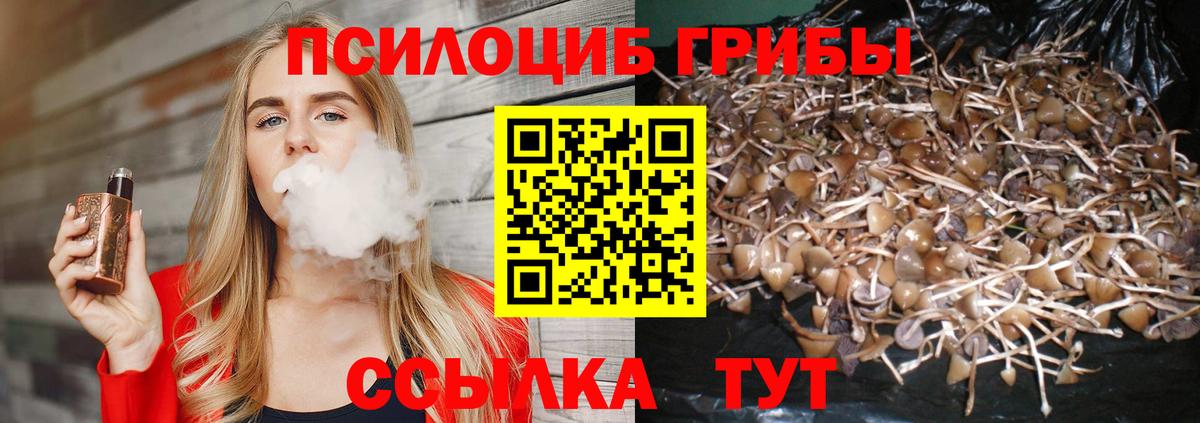 Кувандык  Псилоцибиновые грибы Psilocybe  где продают   Вход с VPN 